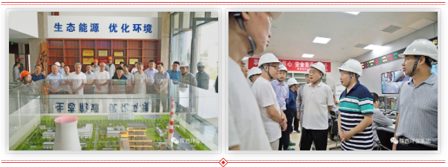 1660528967328626NS5B.png 222.png